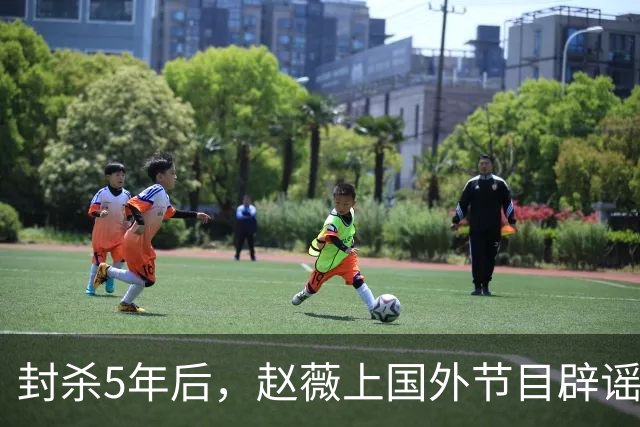 封杀5年后，赵薇上国外节目辟谣，称喜欢目前生活，处境却太尴尬