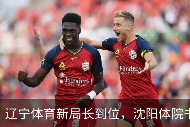 辽宁体育新局长到位，沈阳体院书记接棒，能否重振“辽老大”雄风？